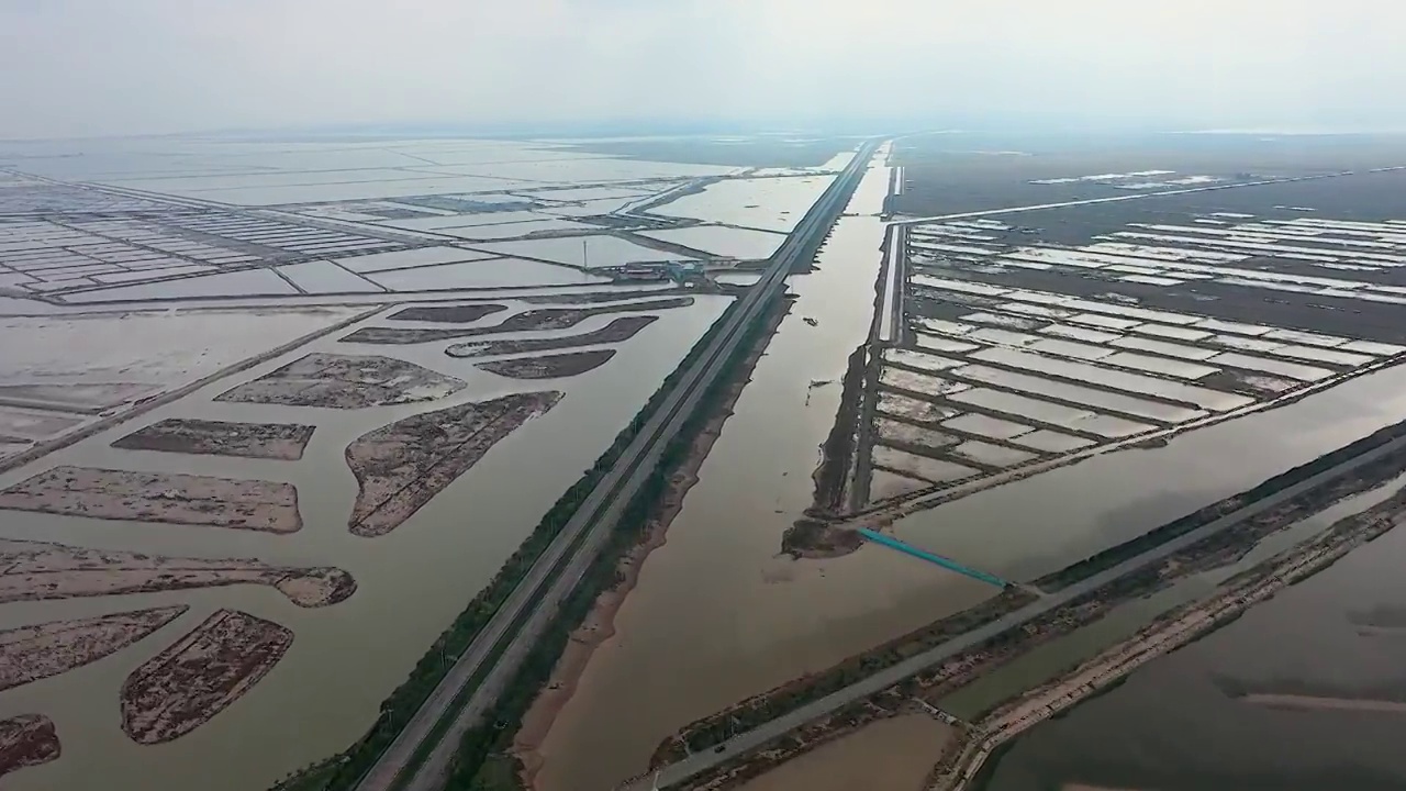 东营，黄河三角洲湿地视频素材