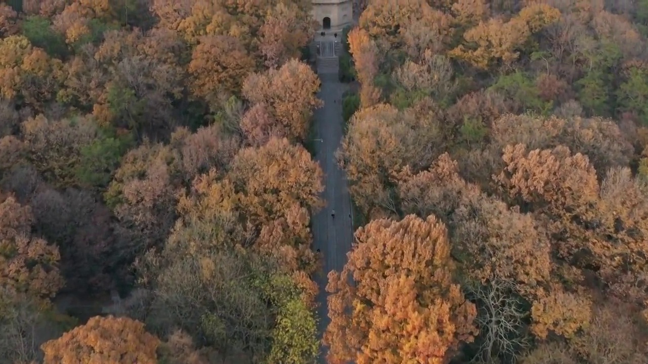 南京灵谷寺景区风景视频素材