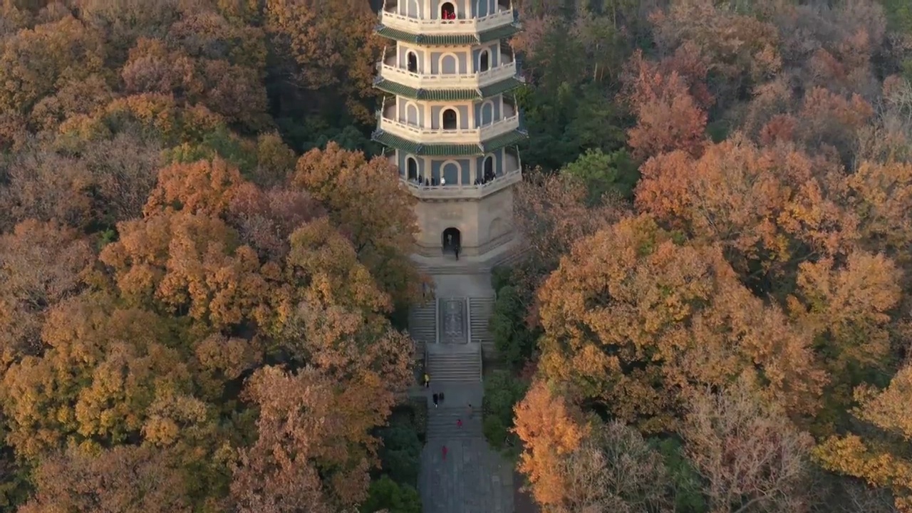 南京灵谷寺景区风景视频素材