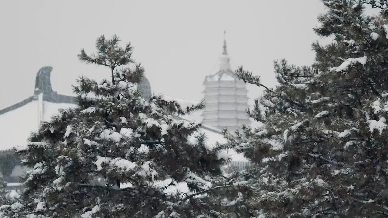 中国沈阳传统古塔与寺庙冬季雪景视频素材