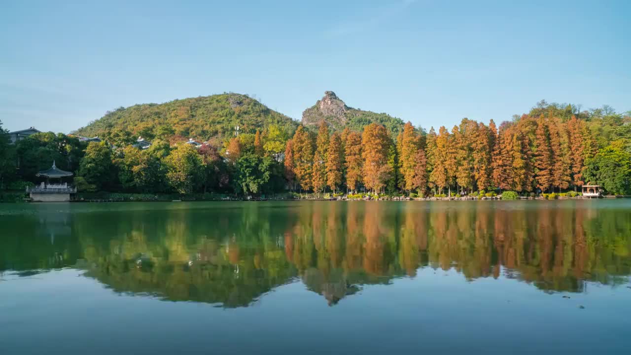 桂林桂湖秋色视频素材