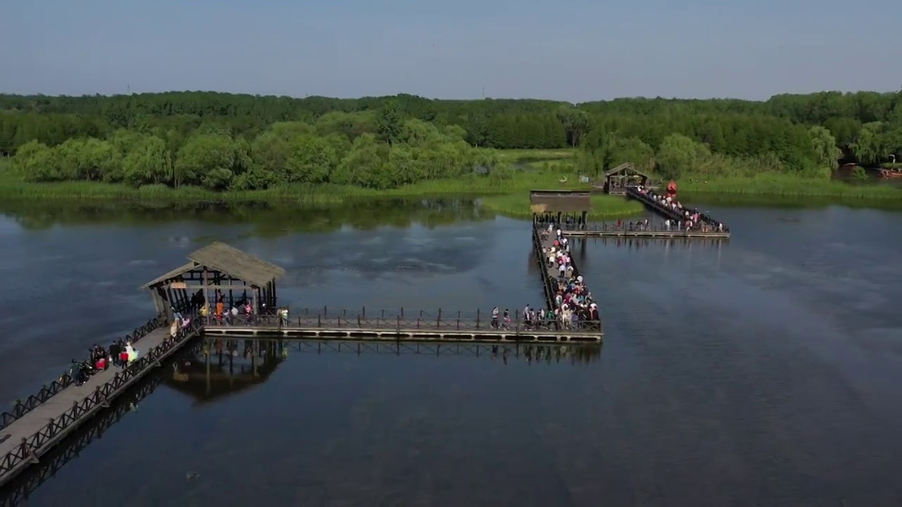 泰州姜堰溱湖国家湿地公园视频素材