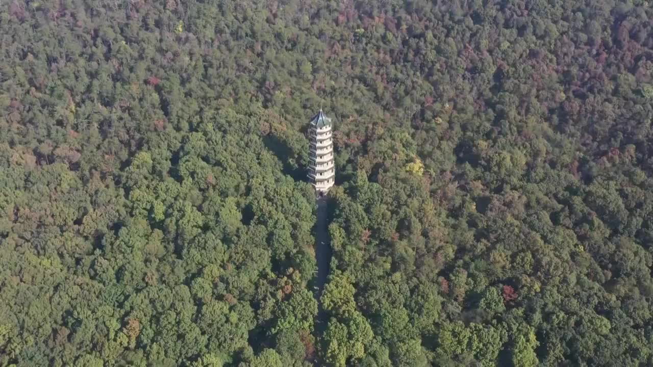 秋季秋天南京中山陵灵谷寺视频素材