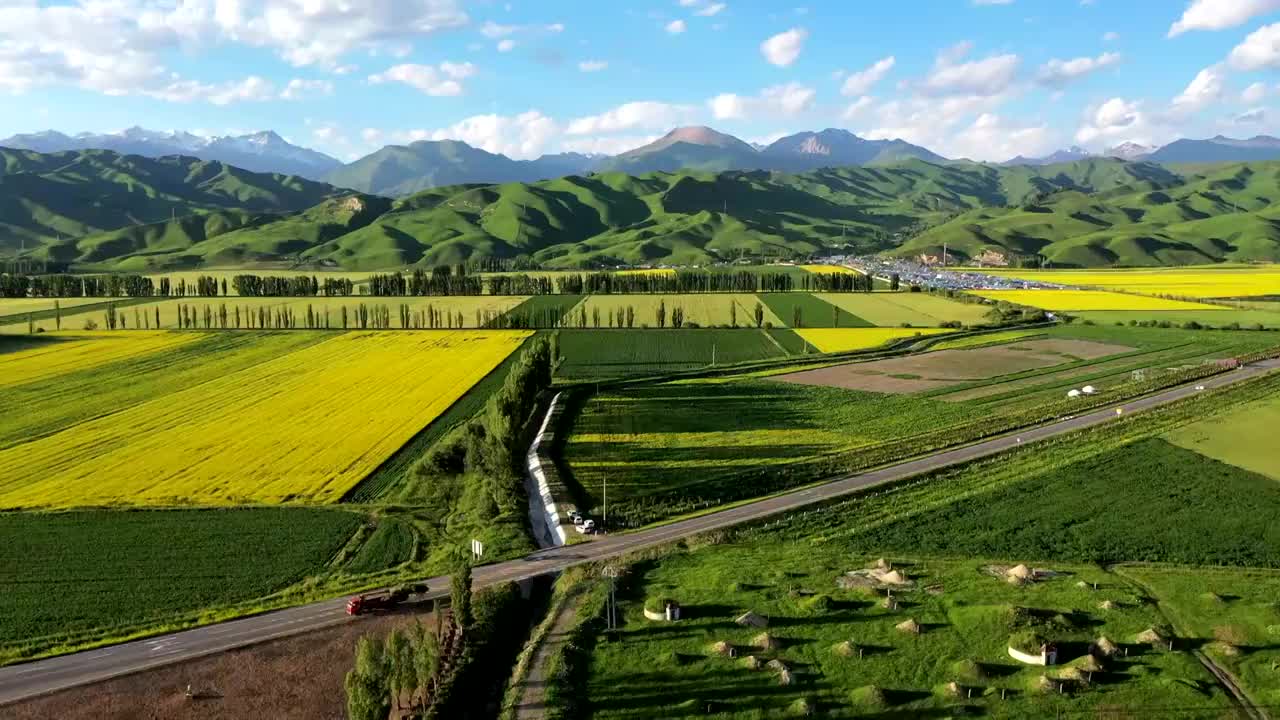 航拍新疆唐布拉草原百里画廊油菜花田视频素材