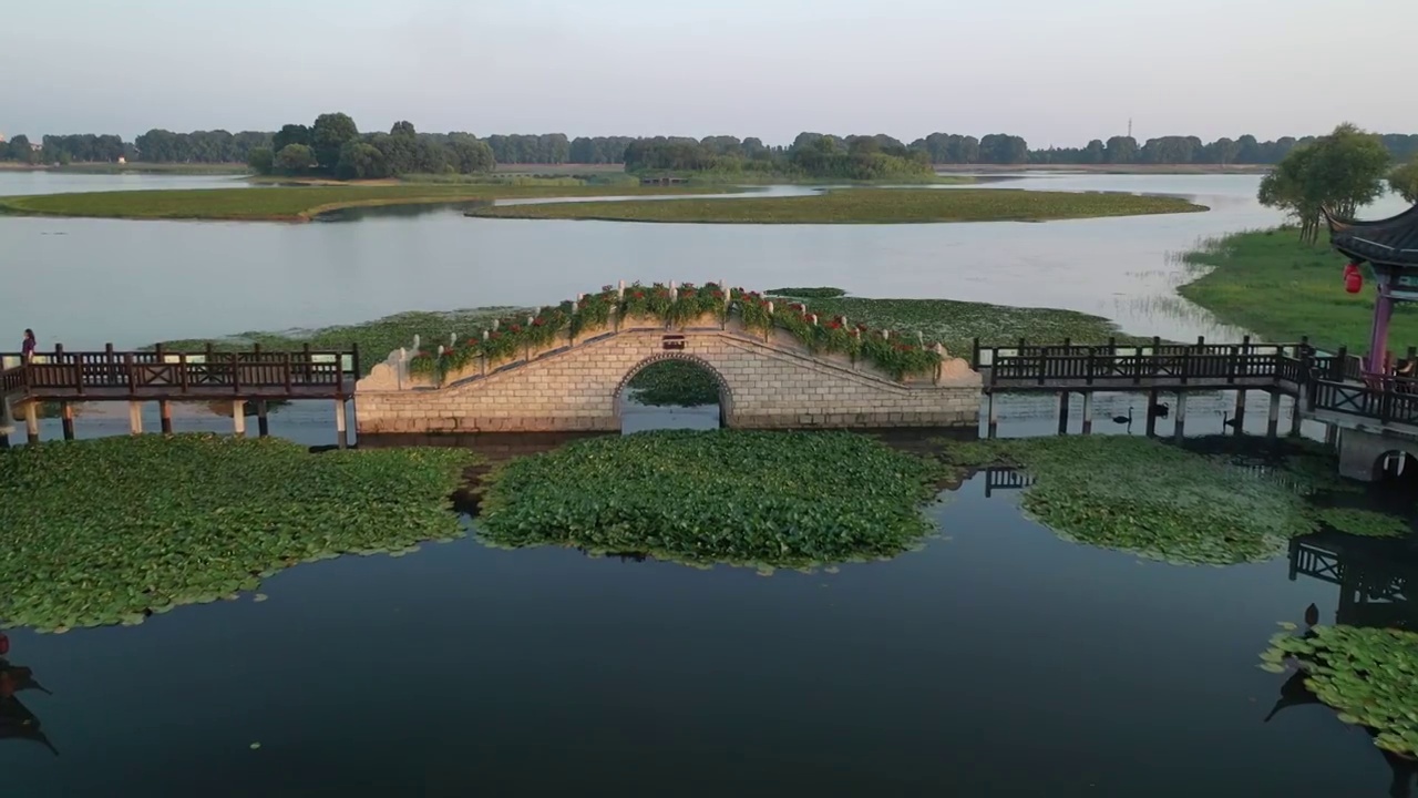 航拍莲花池塘视频素材