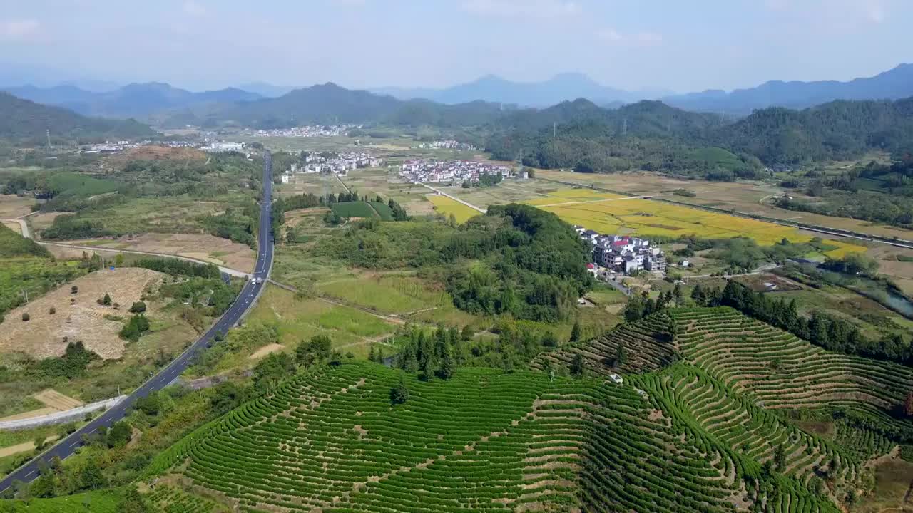 航拍杭州千岛湖高山绿茶茶山茶园视频素材