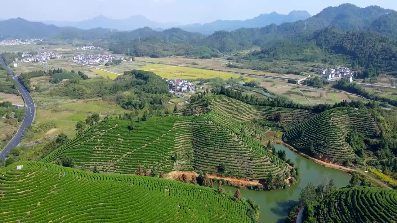 航拍杭州千岛湖高山绿茶茶山茶园视频素材