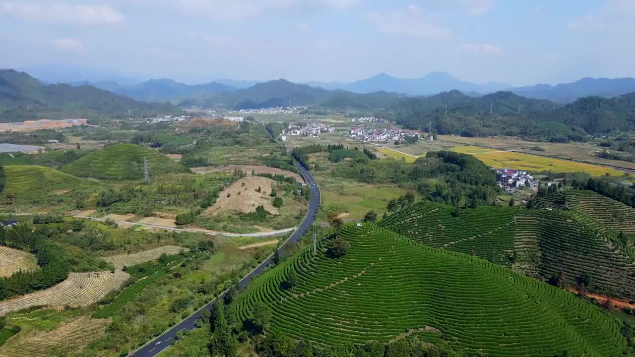 航拍杭州千岛湖高山绿茶茶山茶园视频素材