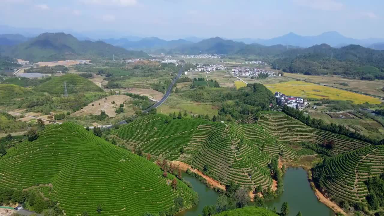 航拍杭州千岛湖高山绿茶茶山茶园视频素材