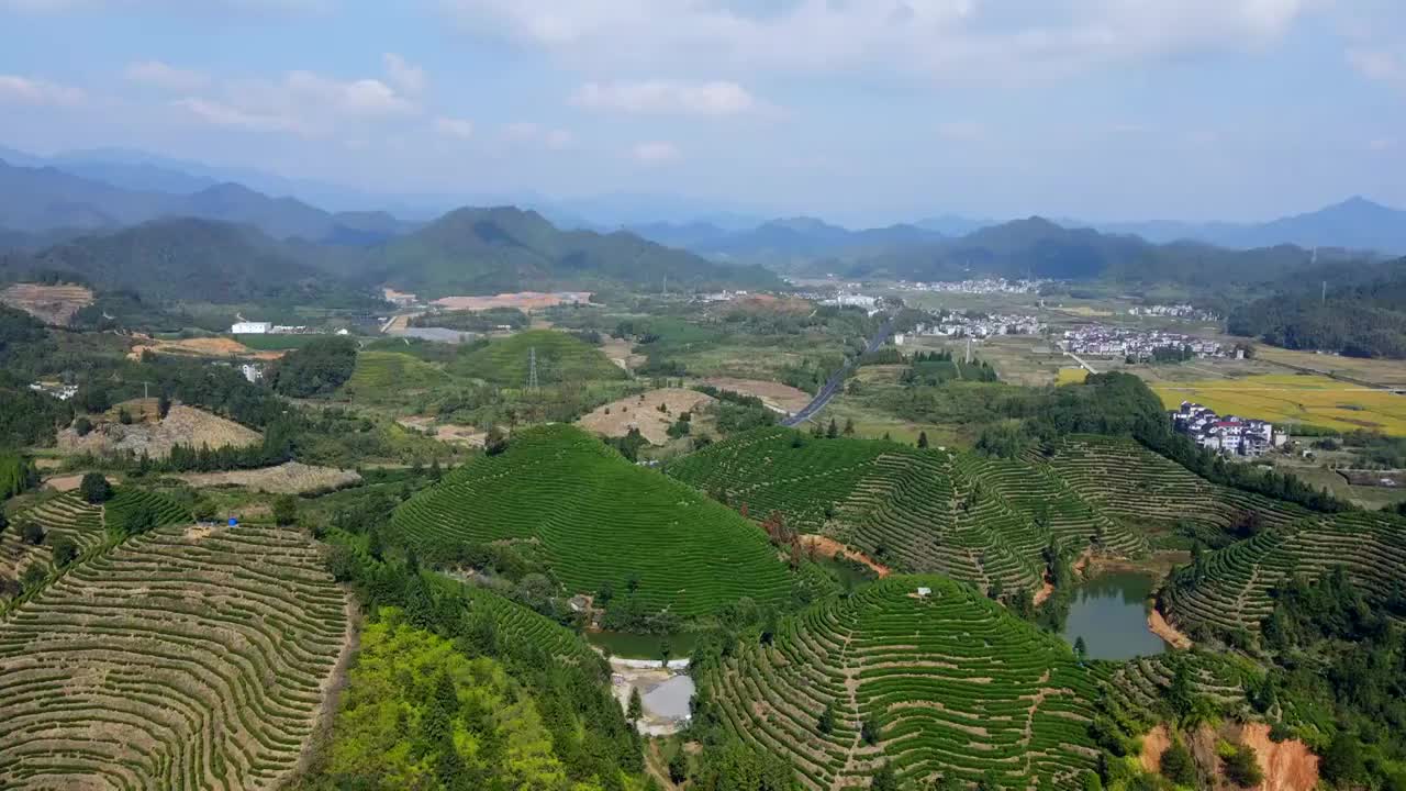 航拍杭州千岛湖高山绿茶茶山茶园视频素材