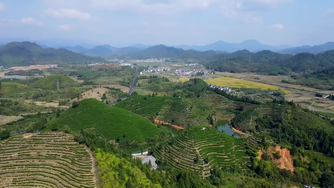 航拍杭州千岛湖高山绿茶茶山茶园视频素材