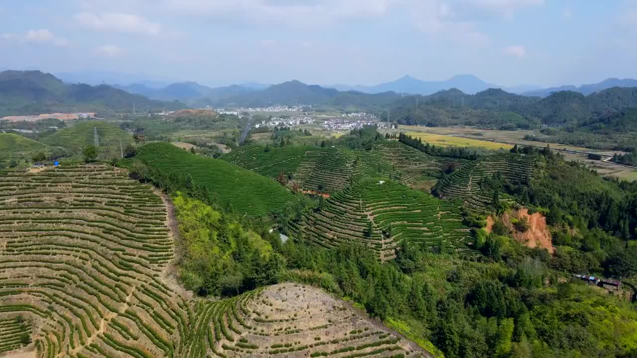 航拍杭州千岛湖高山绿茶茶山茶园视频素材