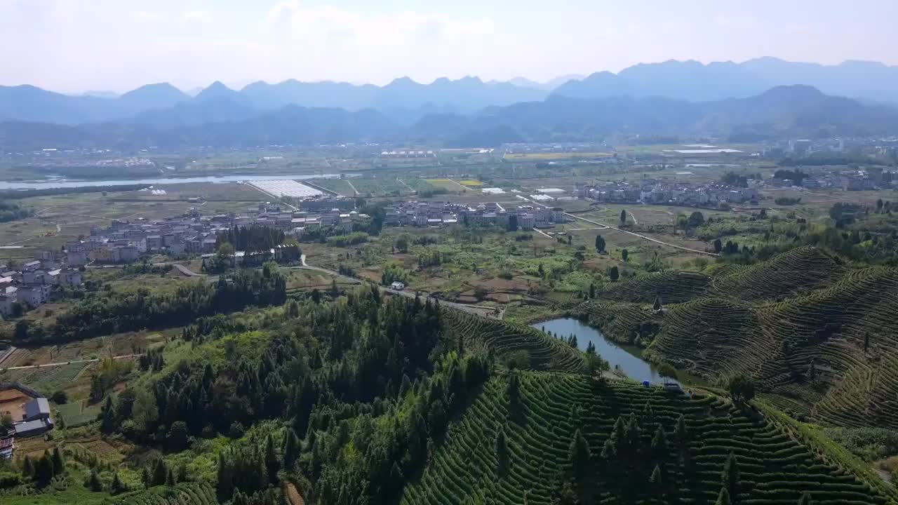 航拍杭州千岛湖高山绿茶茶山茶园视频素材