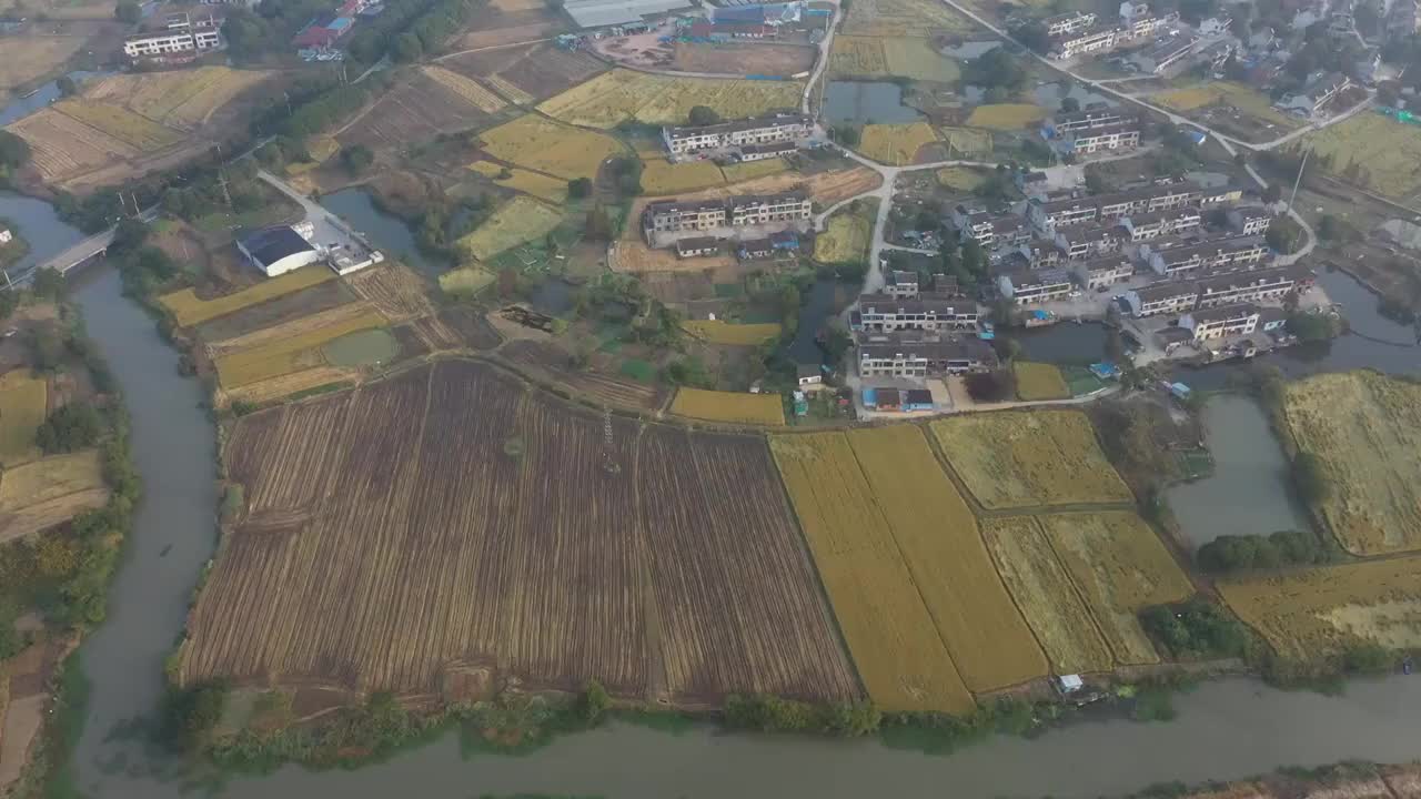 清晨村庄稻田日出阳光雾视频素材