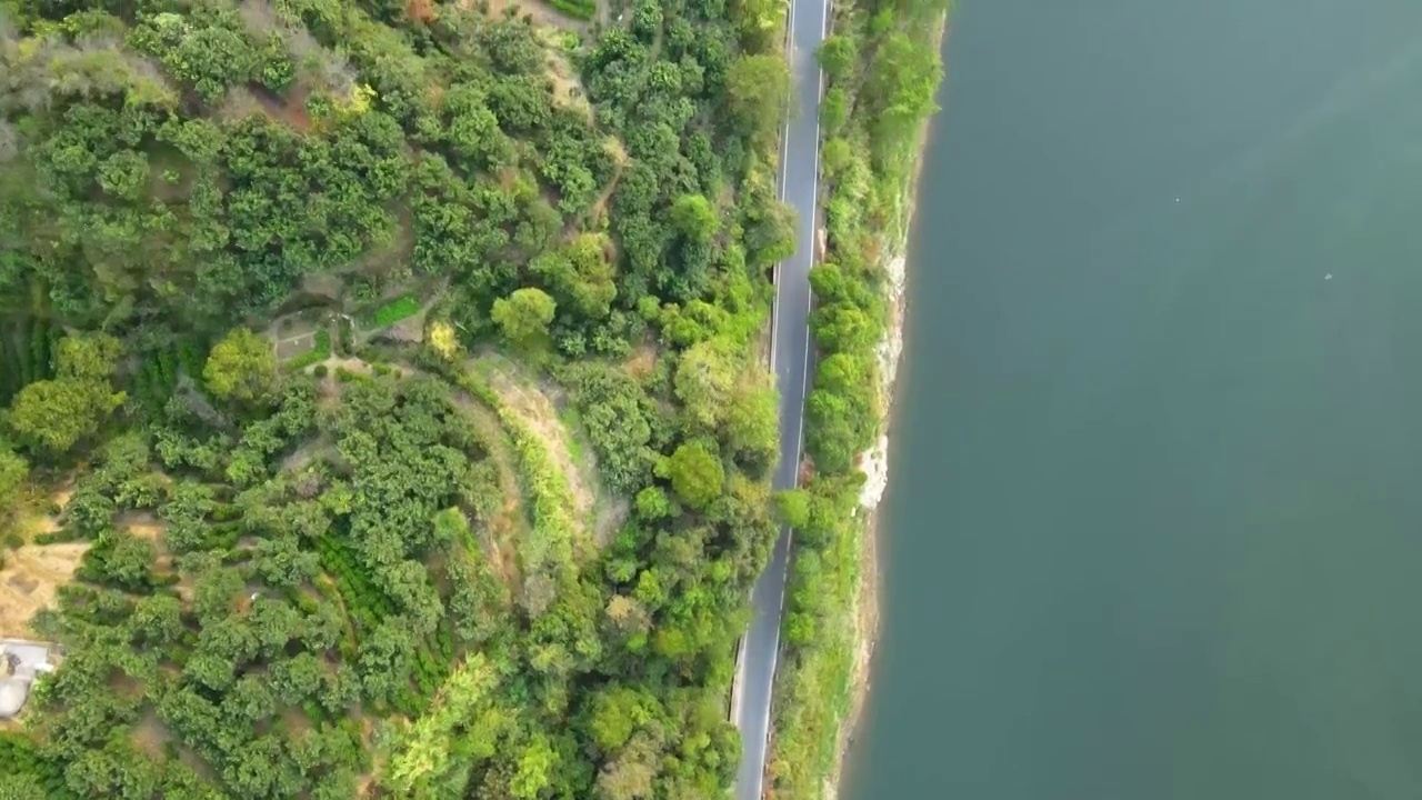 航拍森林盘山公路视频素材