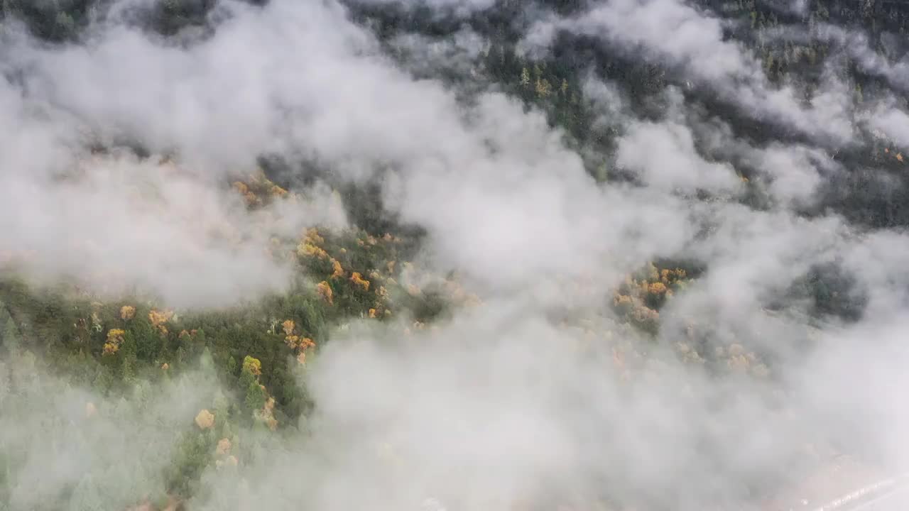 鲁朗小镇的晨雾风光视频素材