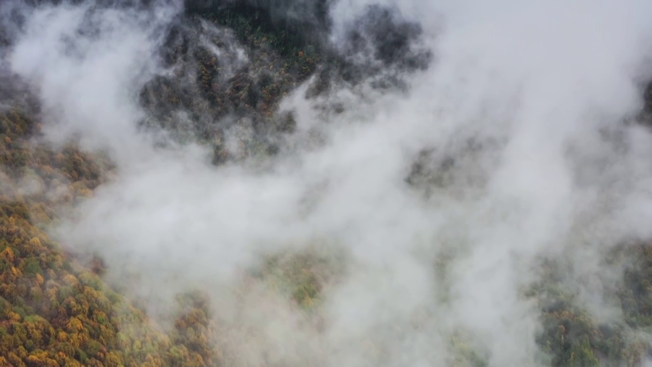 西藏林芝色季拉山秋色视频素材