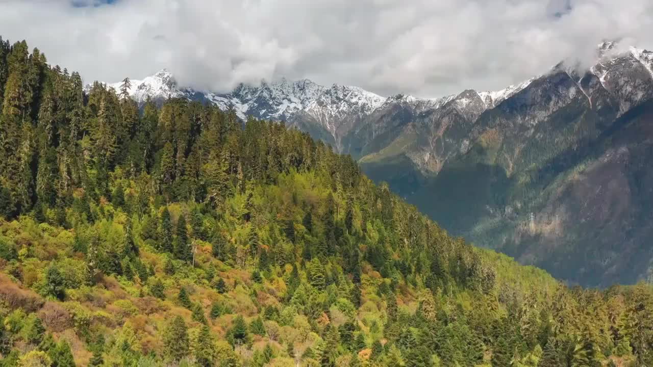 西藏林芝波密卓龙沟风光视频素材