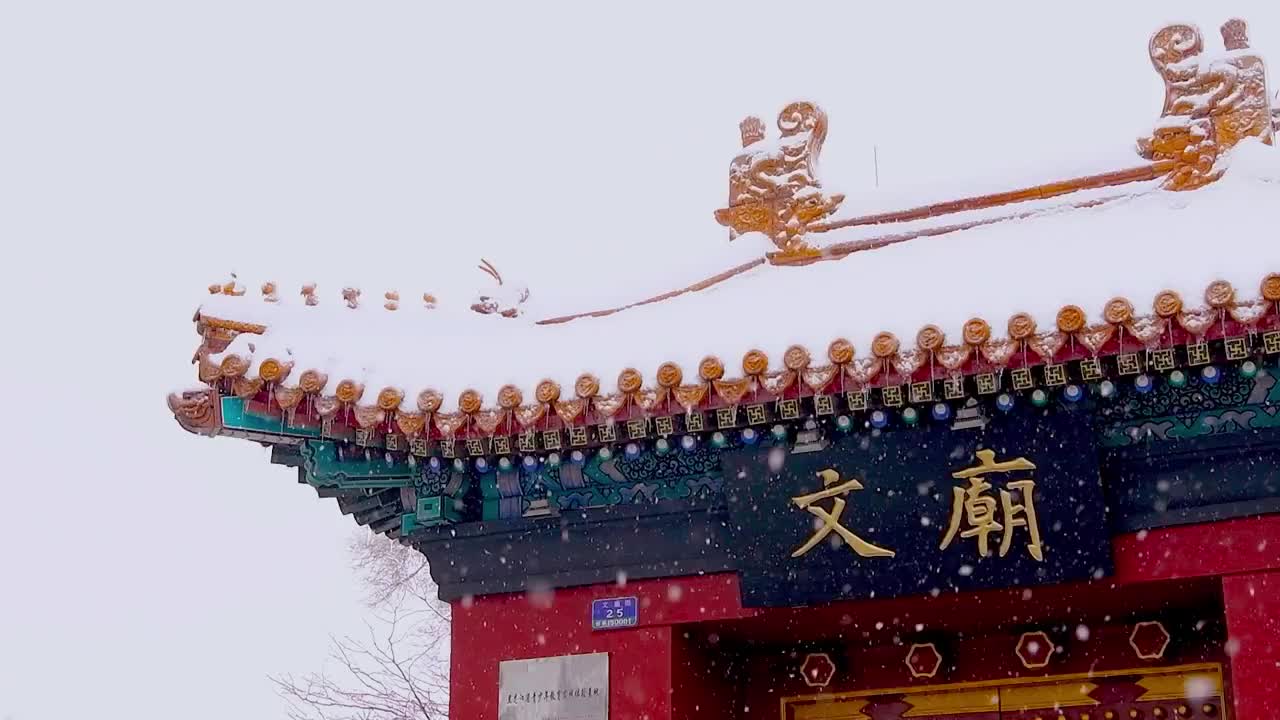 哈尔滨 雪中文庙的静美视频素材