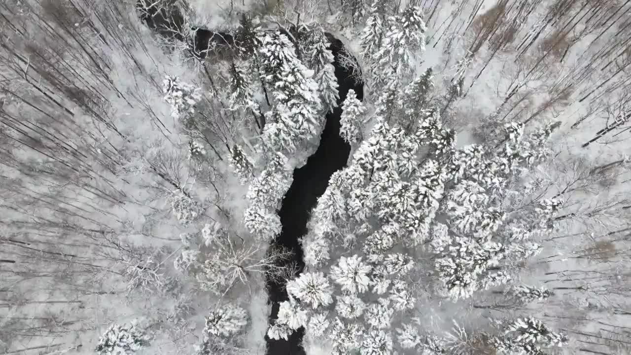 东北长白山林海雪景漂流视频素材