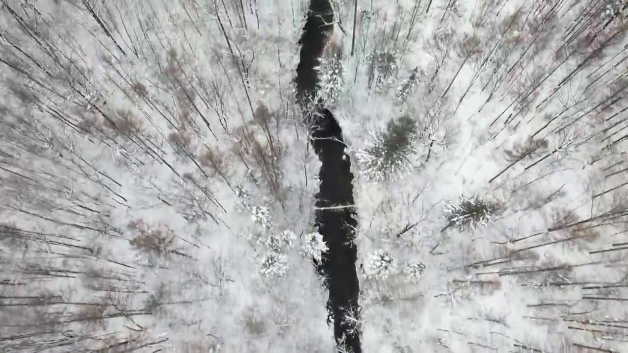 东北长白山林海雪景漂流视频素材