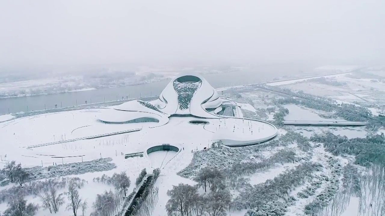 风雪中的哈尔滨大剧院2视频素材