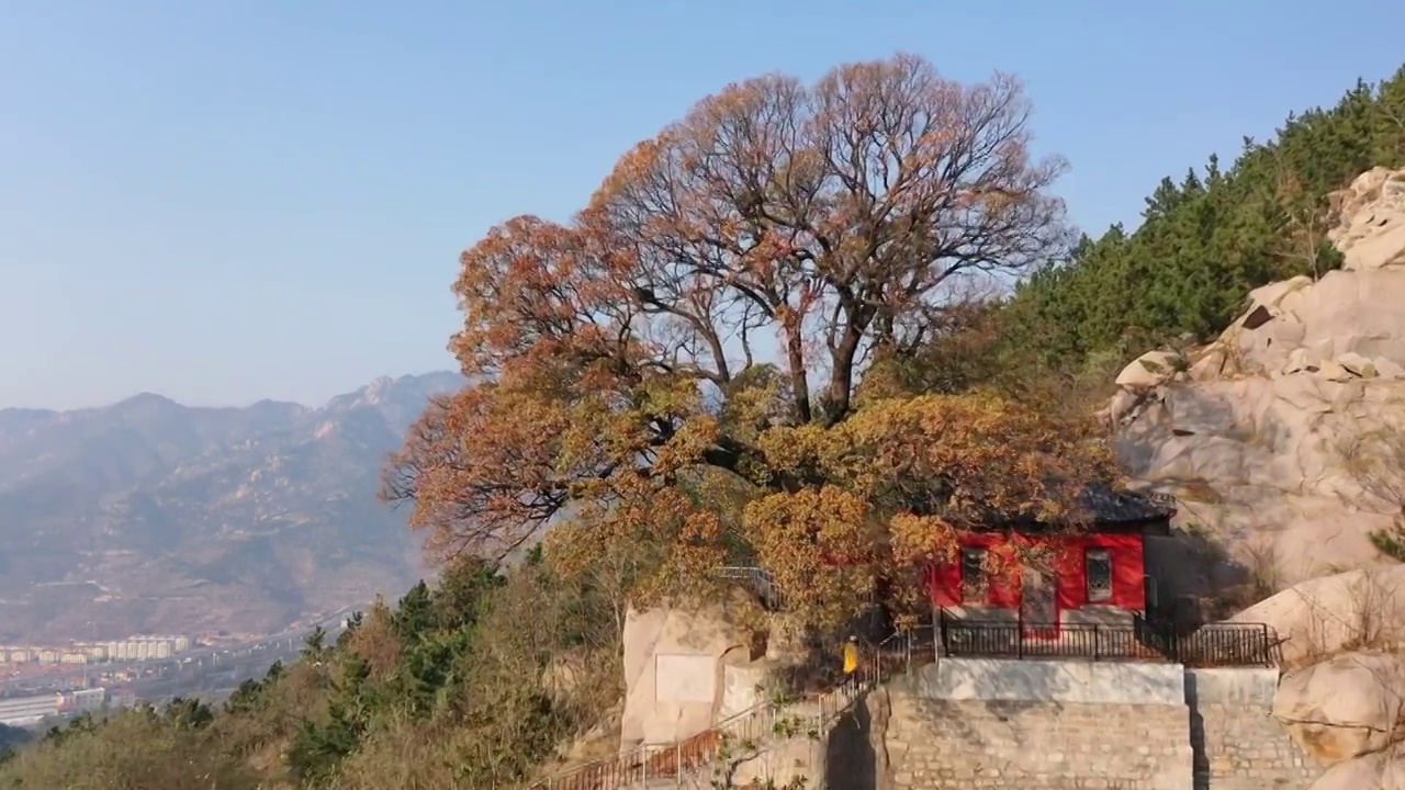 崂山神清宫遗址视频素材