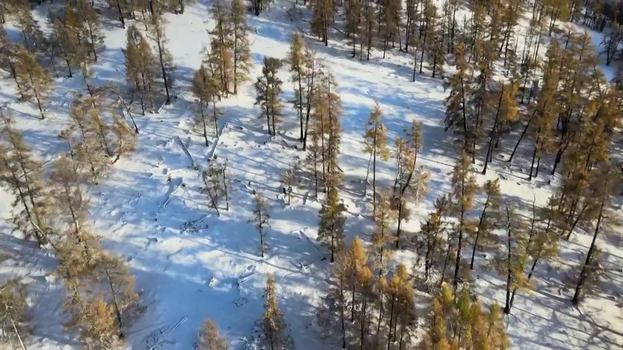 新疆阿勒泰布尔津县喀纳斯景区雪后航拍视频素材