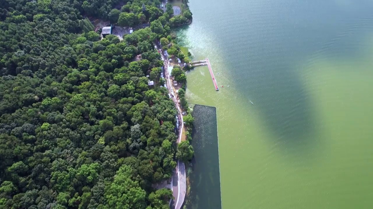 航拍湖北5A旅游景区东湖景区视频素材