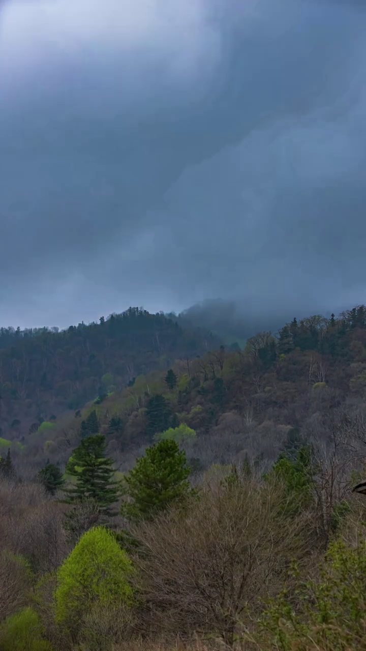 山间流雾视频素材