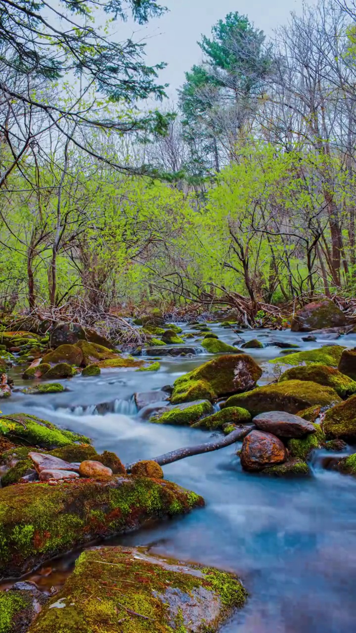 青山绿水视频素材