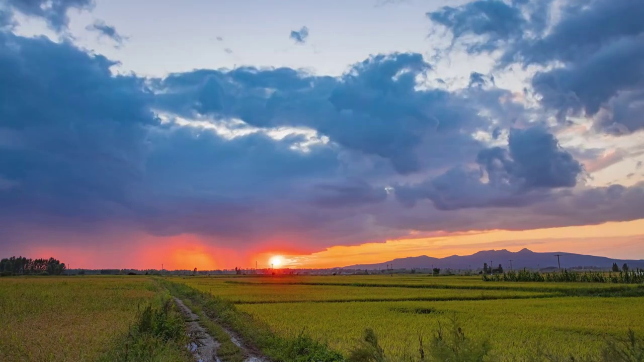 田间夕阳视频素材