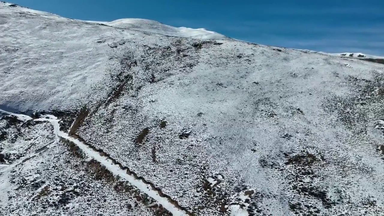 四川理塘连绵的雪山视频素材