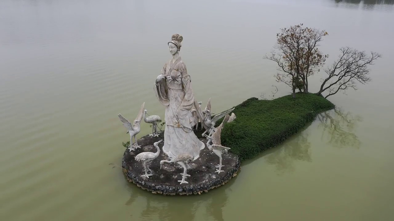 航拍肇庆鼎湖区仙女湖〔鸬鹚、苍鹭，白鹭等野生鸟类〕。视频素材