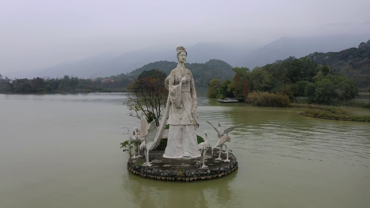 航拍肇庆鼎湖区仙女湖〔鸬鹚、苍鹭，白鹭等野生鸟类〕。视频素材