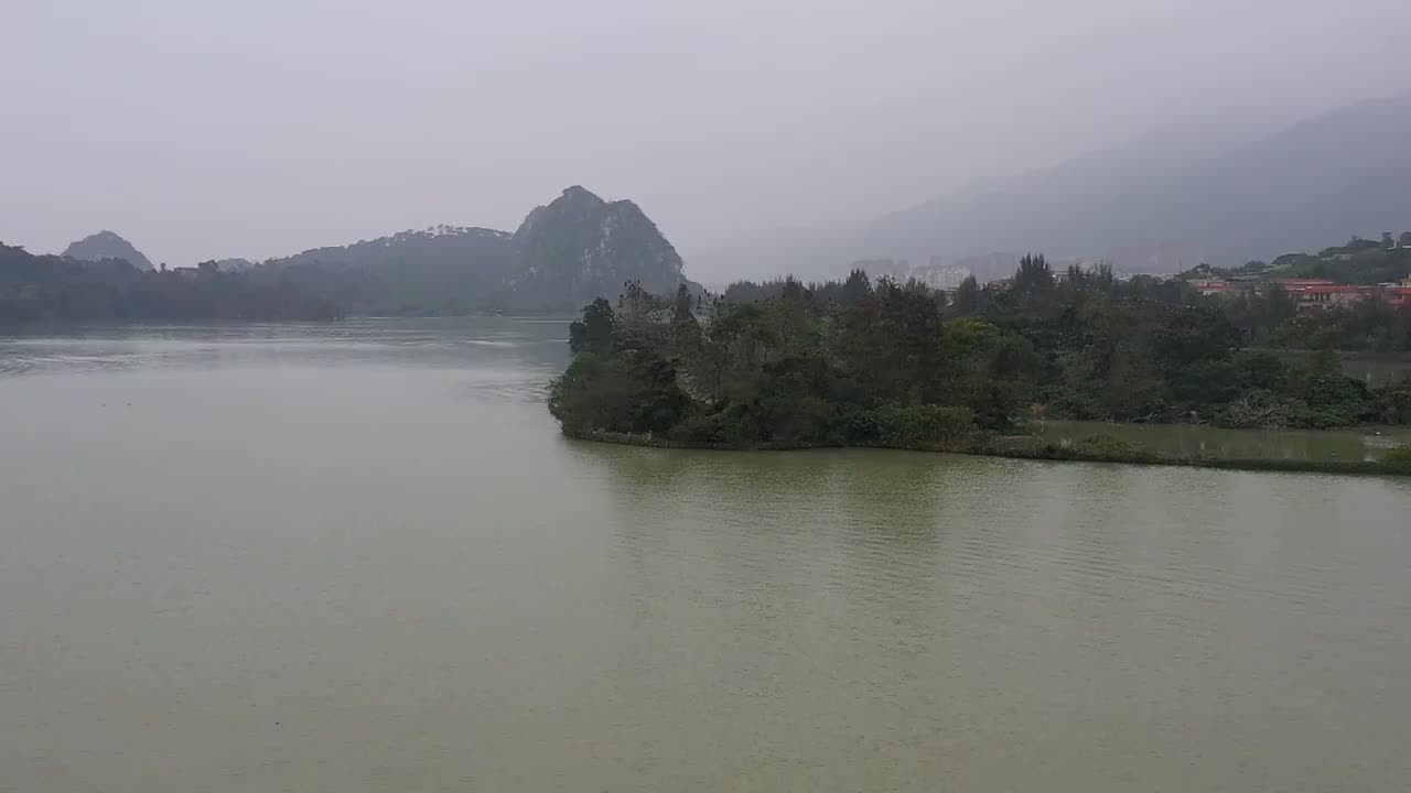 航拍肇庆鼎湖区仙女湖〔鸬鹚、苍鹭，白鹭等野生鸟类〕。视频素材