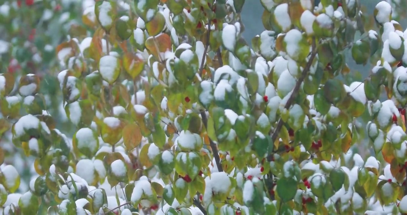 4K拍摄雪景视频素材