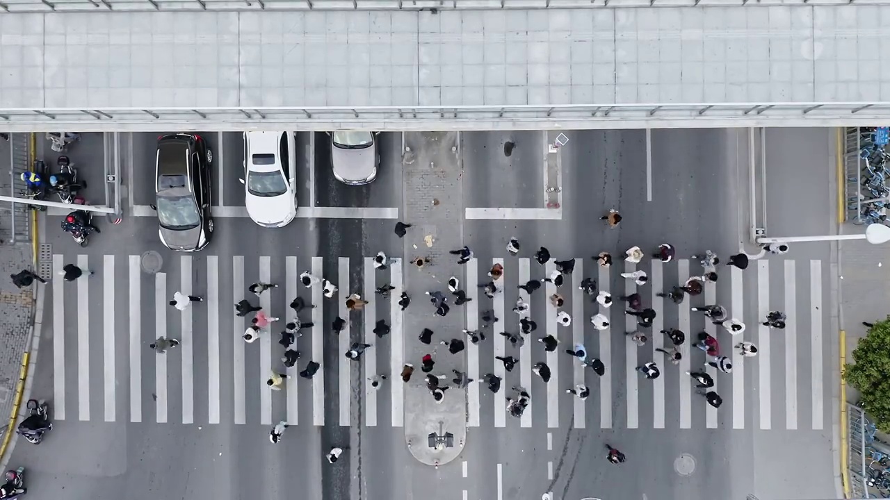 上海松江泗泾地铁站,轨道交通9号线,行人过马路视频素材