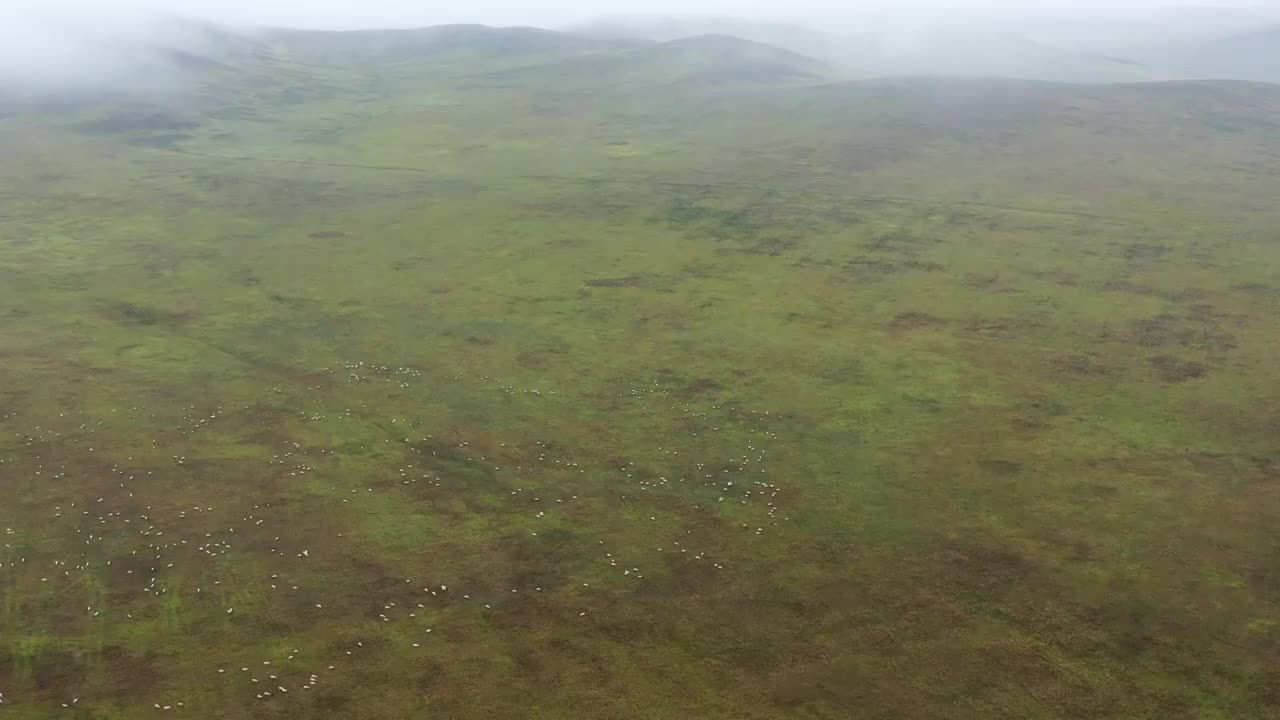 内蒙古：秋雨中的锡林郭勒大草原视频素材