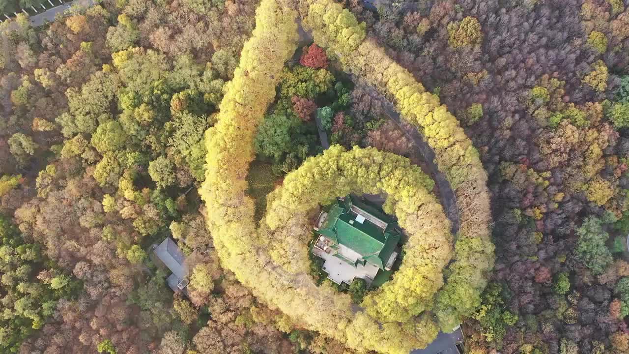 秋季南京钟山风景区，南京美龄宫的秋色航拍风光视频素材