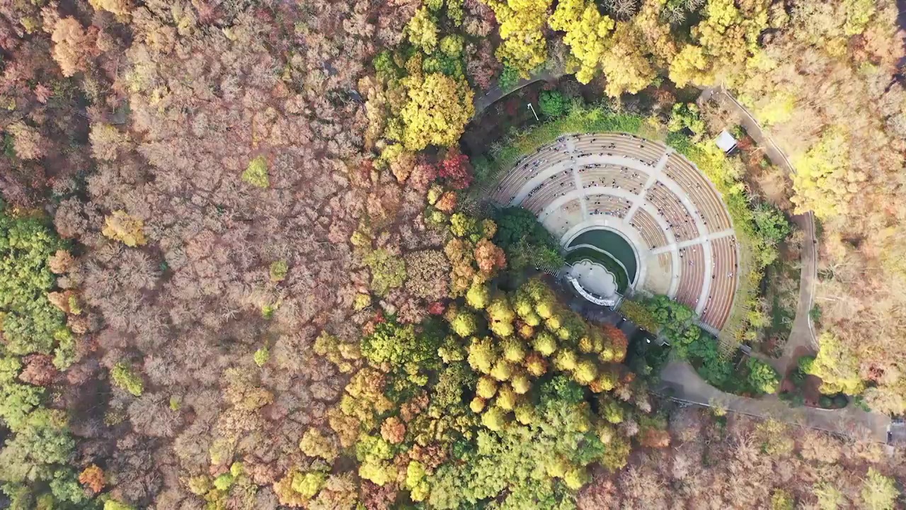 秋季南京钟山风景名胜区，音乐台的斑斓秋色视频素材