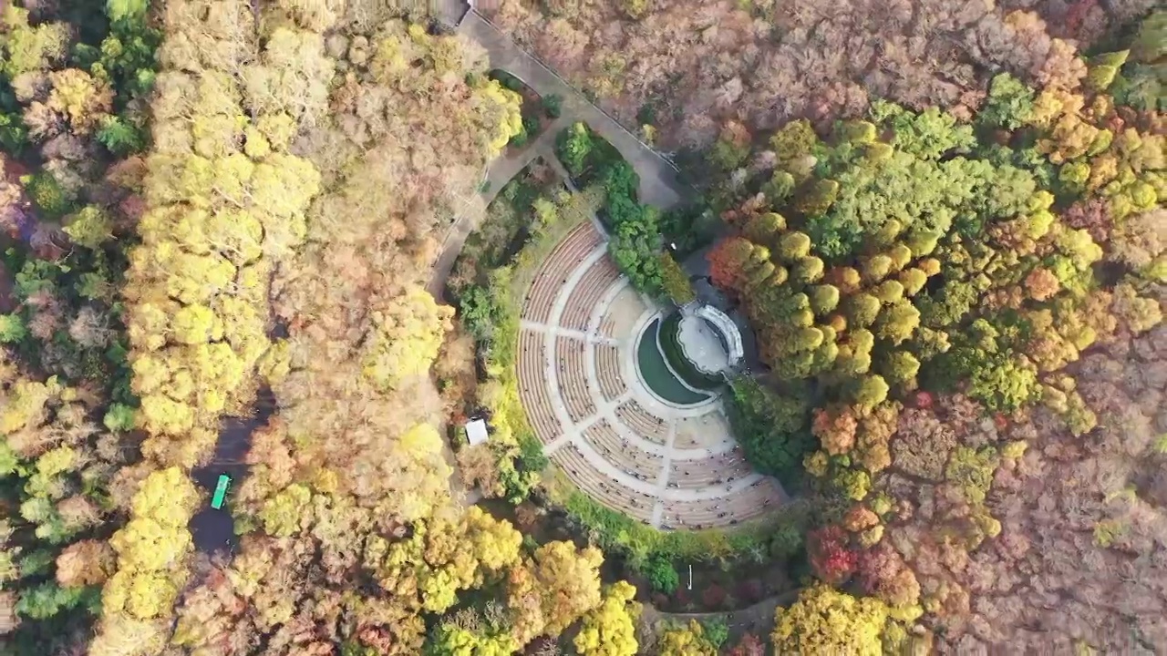 秋季南京钟山风景名胜区，南京音乐台的秋色航拍风光视频素材