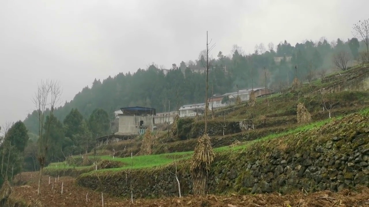 山村新居视频素材