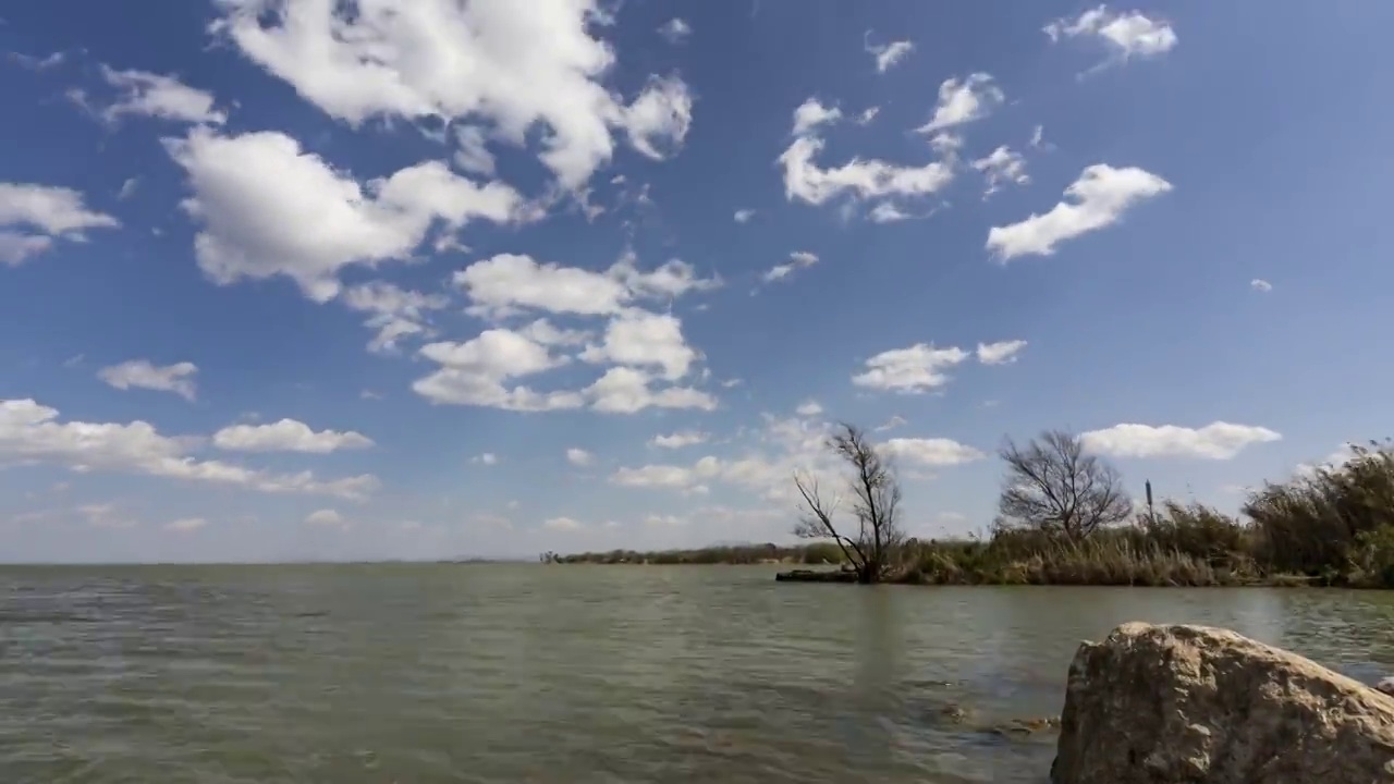 东大河湿地公园视频素材