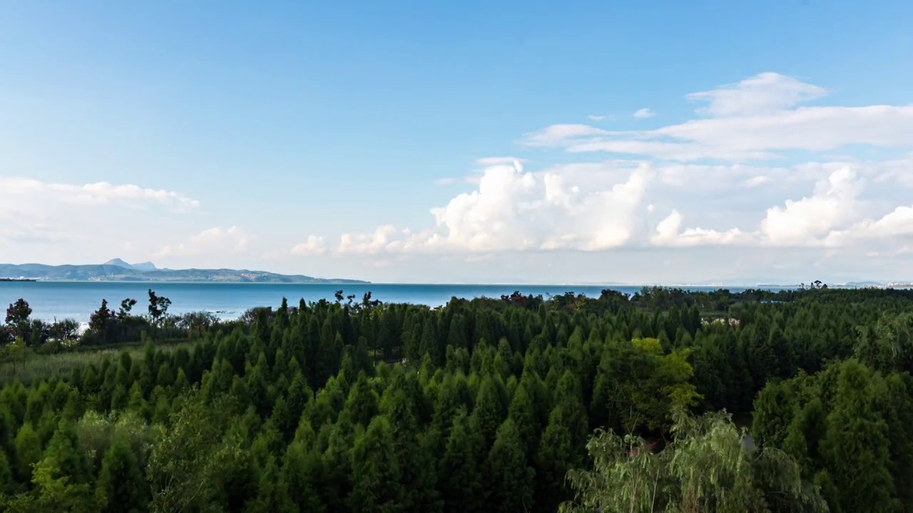 东大河湿地公园视频素材