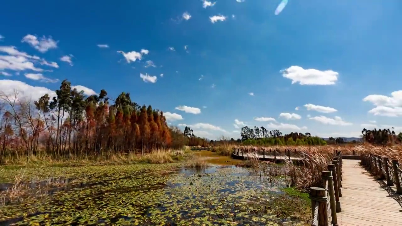 东大河湿地公园视频素材