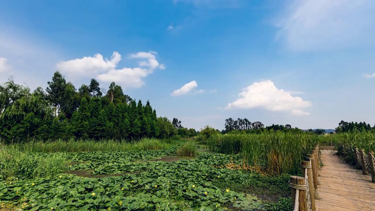 东大河湿地公园视频素材