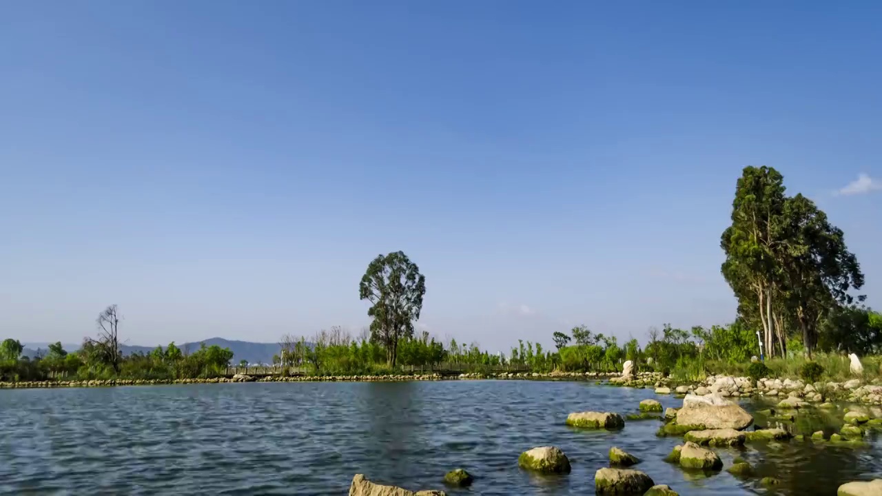 东大河湿地公园视频素材