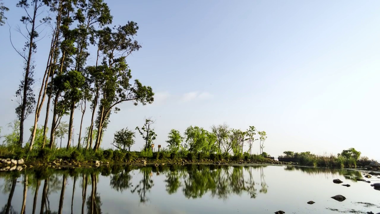 东大河湿地公园视频素材