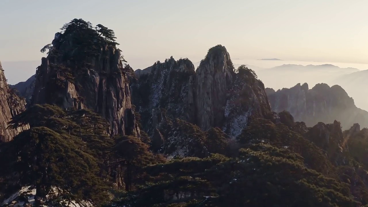 黄山松树视频素材